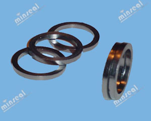2090F Flexible Graphite Die-formed Ring 2090F Flexible Graphite Die-formed Ring